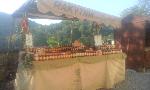 rakytn�k,brusinka,bor�vka
