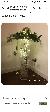 Creative Decor