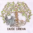 Du�e d�eva - D�ev�n� n�dob� a dekorace