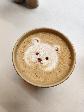 FreshCaffe