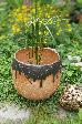 Keramika Birdgarden