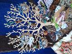 Ond�ej T�ma