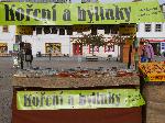 Ko�en� a bylinky