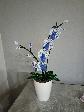 Vlasta handmade