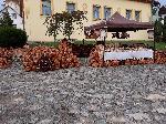 d�evov�roba+prout�n� v�robky
